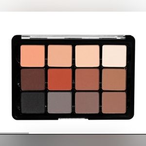 *NEW* Viseart NEUTRAL MATTE VPE01